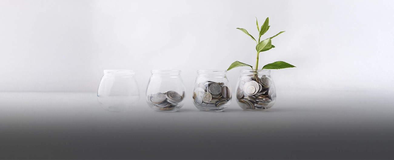 importance of savings