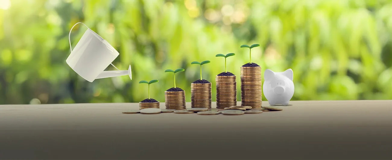 Passive Income Ideas