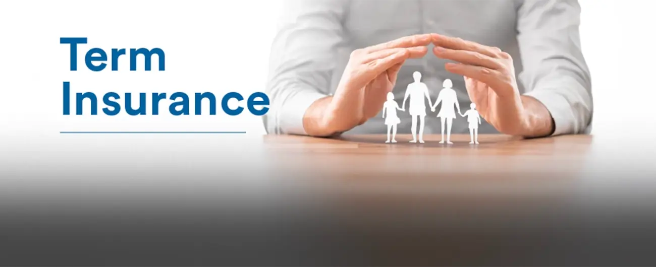 what is term insurance